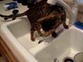 Penn-loves-water!