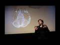 :: The religion of Temporal Lobes and the origin of Ethics :