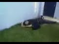JON DEL MODULO SE CAE