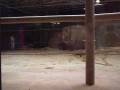 videos de 4th Anniversary (2004)