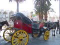 VINA DEL MAR CHILE/CHILI