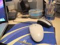 Mice Dances Mice Dances
