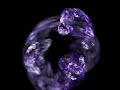 Enya Exile Fractals