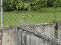 videos de AEROSTOCKIAN BEHAVIOR; FLY BY BIRDS (RMF)