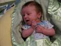 videos de Dylan - week 6