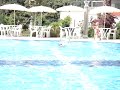 BEWARE!!.JAWS...IN FREE APARTMENT POOL