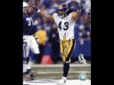 Polamalu Polamalu