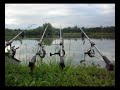peche carpe rigolecarpe