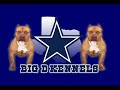 Big D kennels (RED RUM) Dallas Tx. Big D kennels (RED RUM) Dallas Tx.