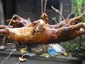 Ketut Erawati Babi Guling