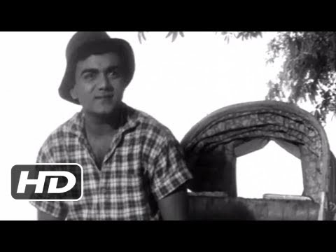 Main Riskshawala (Mehmood)