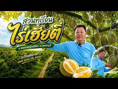 สวนทุเรียนของ “เฮียตี๋” อ.หนองหญ้าปล้อง จ.เพชรบุรี