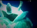 Sir David Attenborough at his very best