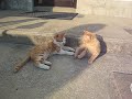 全ての事に意味が有~る。