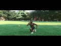 PLyometrics That Work!