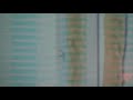 Talk Sex with Sue Johanson