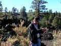 Sunset Crater National Monument Flagstaff, AZ