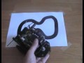Skybot: Following the black path...