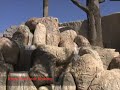 Rapid Set Cement, Decorative Uses