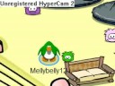 Fly with your Puffle! READ DESCRIPTION