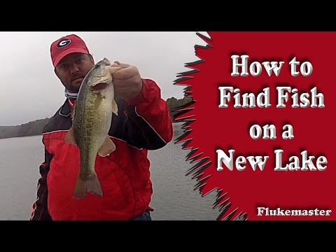 how to locate bass