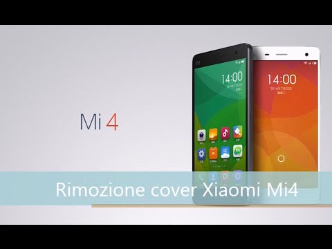 Immagine anteprima YouTube