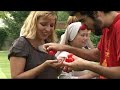 clown therapy   seminario di istituto cortivo