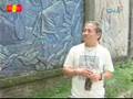 Nemiranda-s-House-of