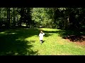 Chasing a bug.AVI