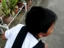 si germax