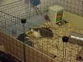 Search Video