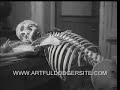 Artful Dodger - 