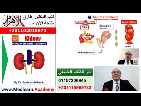 how to kidney function test