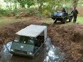Haflinger towed out of Mud