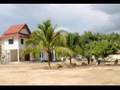 Noy's garden Vientiane Laos part3