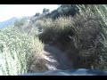 LaTunaCynClip17 18 - 