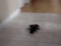 videos de ahhhhhhhhhhhhhhhhhhhhhhhhhhhhhhhhhhh