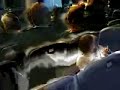 Orkomosia EAP PLH 2006 meros 3