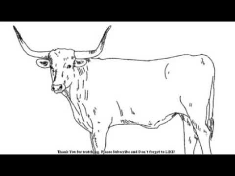 how to draw oxen