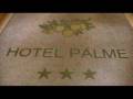 Hotel Palme