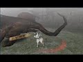 Monster Hunter Freedom 2 - Kushala
