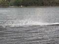 videos de Bent3 boat.AVI