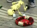 Skeleton Skeleton
