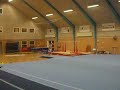 Fuglsig double layout