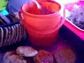 Las gorditas de Zacazonapan