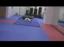 Back Flip Bail