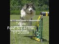 TravLaylaFDLAgil