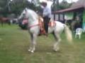 videos de Tuxtepec Caballos alta escuela tuxtepec 3