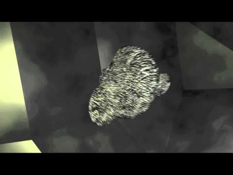 how to dissolve objects in blender