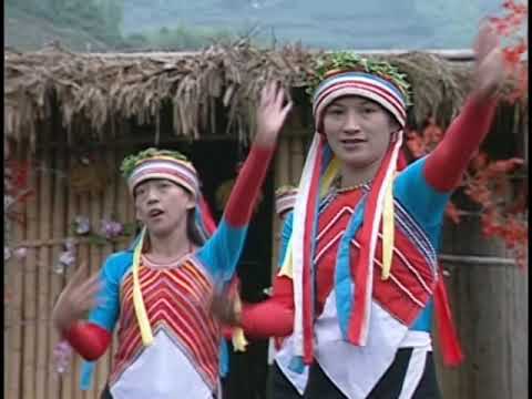 嘉義縣議會第16屆簡介(中文)